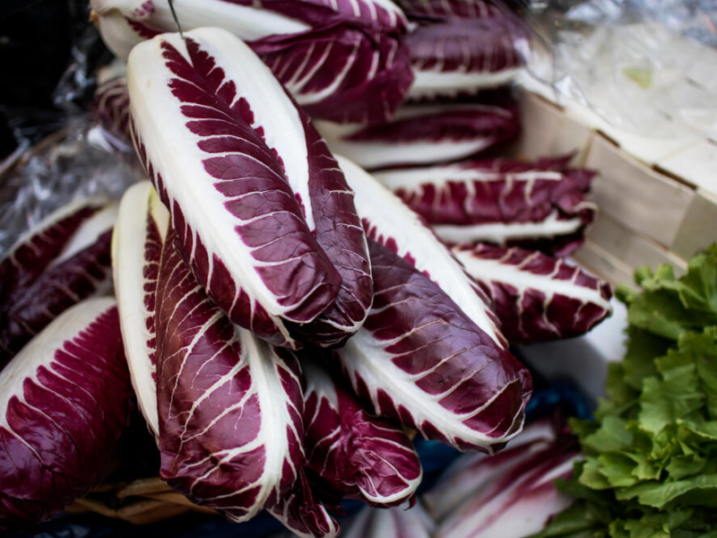 Substitutes For Belgian Endive