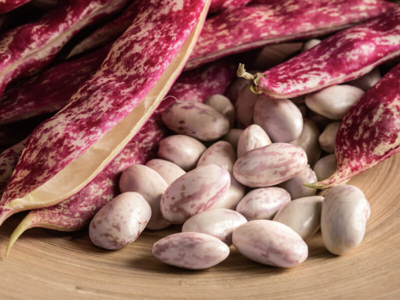 Substitutes For Cranberry Beans