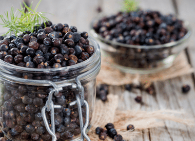 Best Substitutes For Juniper Berries