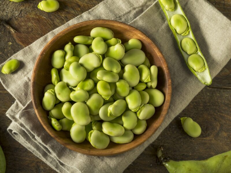 Substitutes For Fava Beans