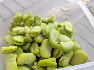 Best Substitute For Broad Beans