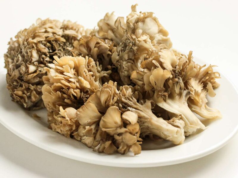 Best Substitute For Maitake Mushrooms