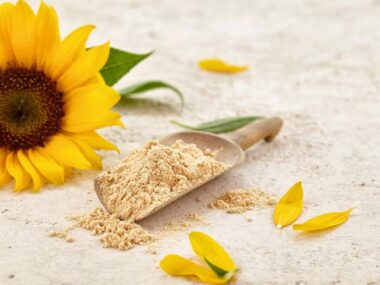 Substitute For Sunflower Lecithin