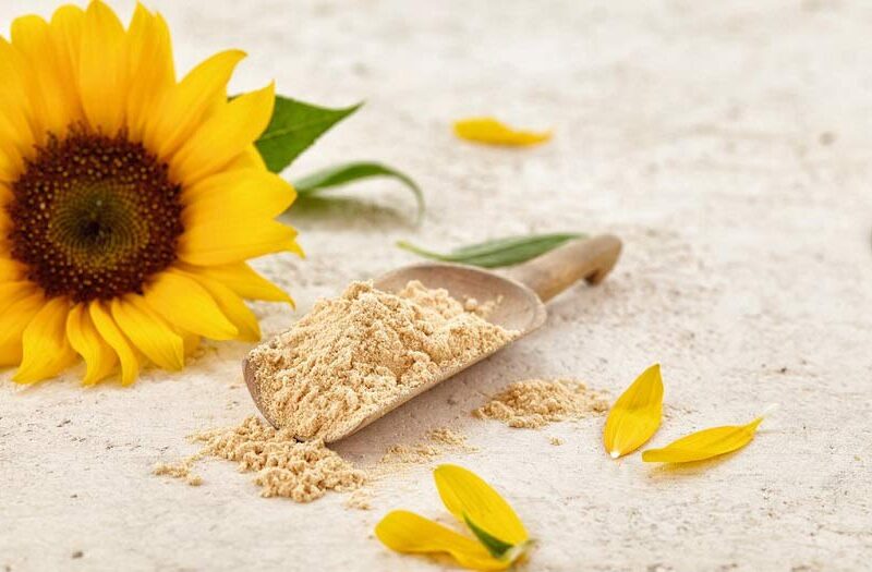 Substitute For Sunflower Lecithin