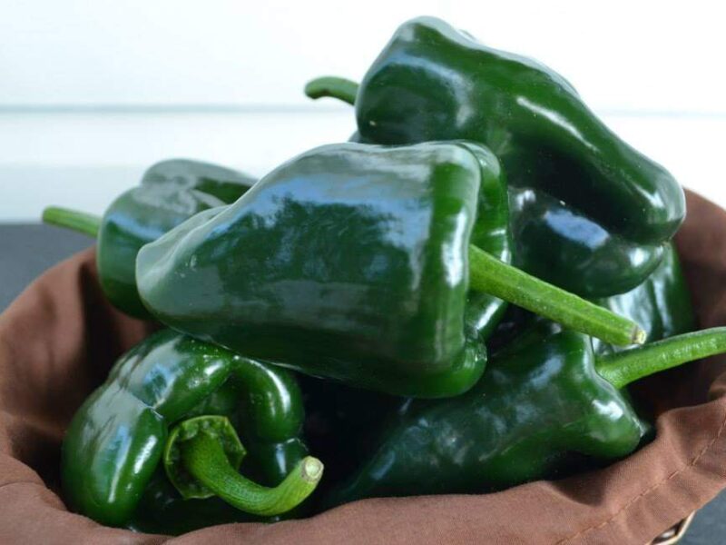 Poblano Peppers