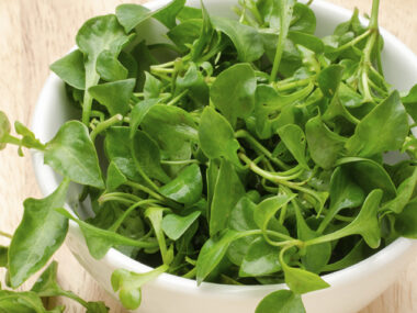 Best Substitute For Watercress