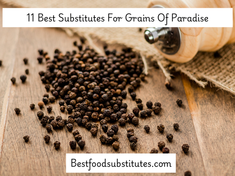 11 Best Substitute For Grains Of Paradise